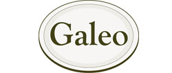 logo galeo